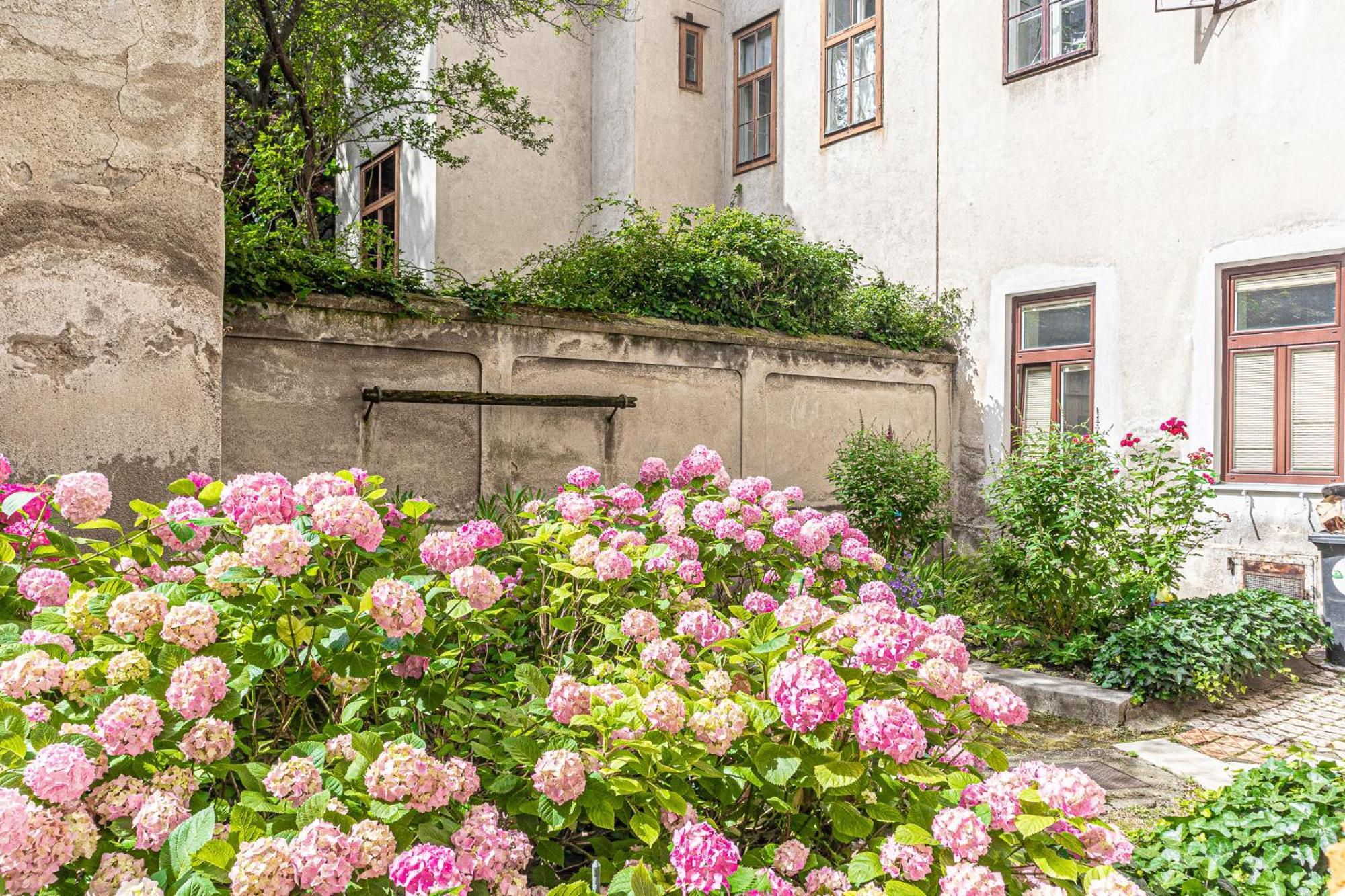 Stunning Apartamento Viena